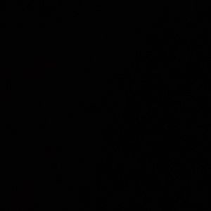 Meet your Posher, Domenic